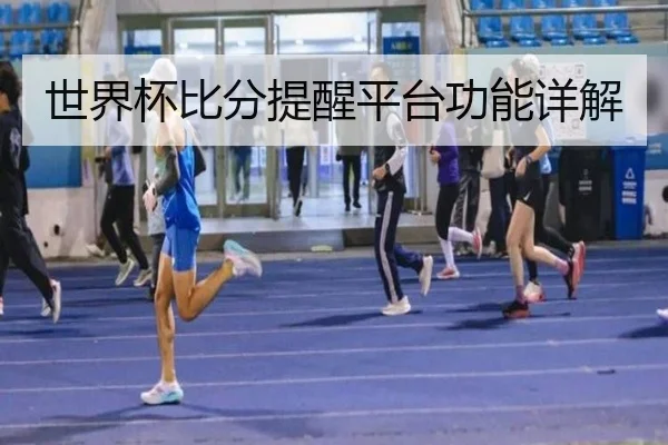 世界杯比分提醒平台功能详解