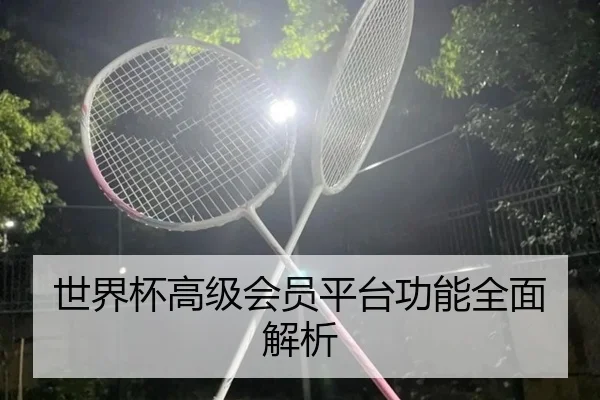 世界杯高级会员平台功能全面解析