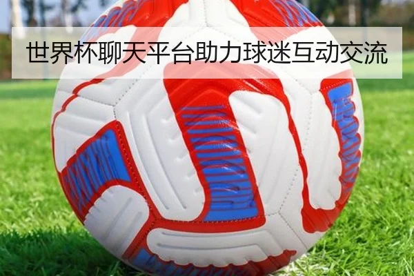 世界杯聊天平台助力球迷互动交流