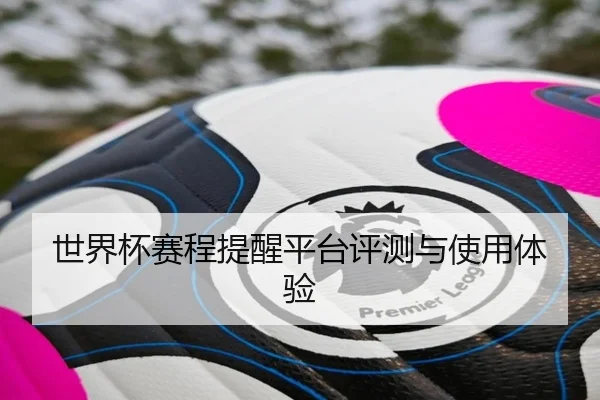 世界杯赛程提醒平台评测与使用体验