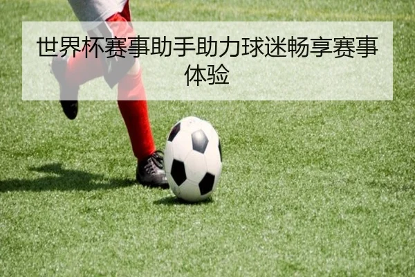 世界杯赛事助手助力球迷畅享赛事体验