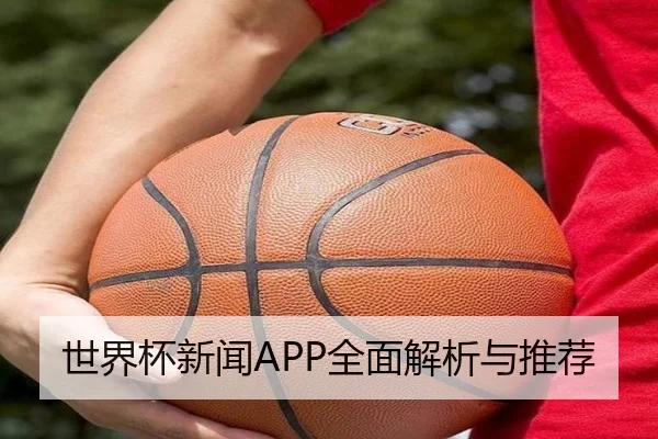 世界杯新闻APP全面解析与推荐