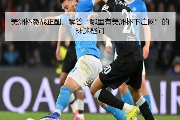 美洲杯激战正酣，解答“哪里有美洲杯下注网”的球迷疑问