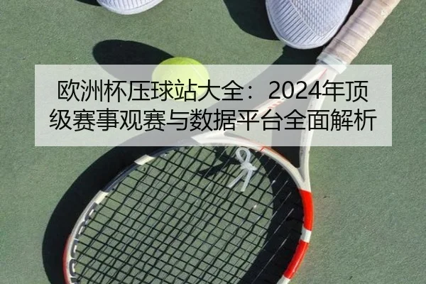 欧洲杯压球站大全：2024年顶级赛事观赛与数据平台全面解析