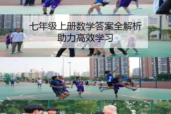 七年级上册数学答案全解析 助力高效学习