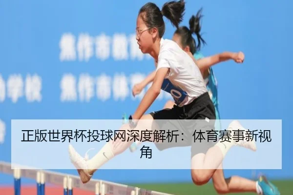 正版世界杯投球网深度解析：体育赛事新视角
