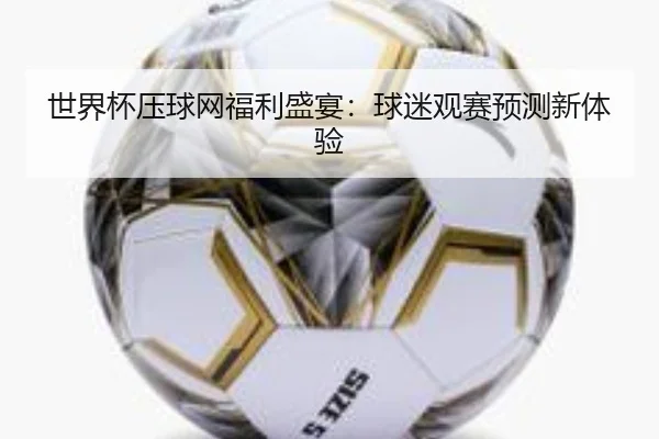 世界杯压球网福利盛宴：球迷观赛预测新体验