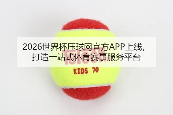 2026世界杯压球网官方APP上线，打造一站式体育赛事服务平台