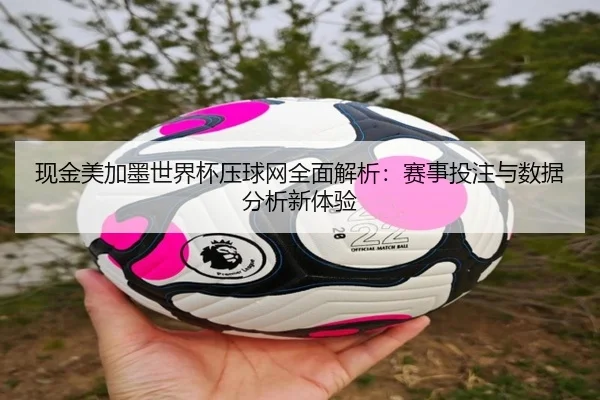 现金美加墨世界杯压球网全面解析：赛事投注与数据分析新体验