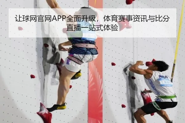 让球网官网APP全面升级，体育赛事资讯与比分直播一站式体验