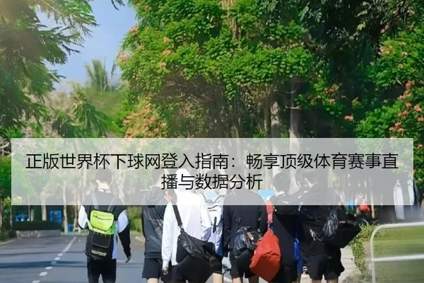 正版世界杯下球网登入指南：畅享顶级体育赛事直播与数据分析